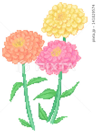 Zinnia flower in pixel art Zinnia flower in pixel art 141829574