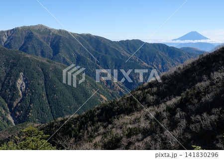 ダケカンバの幹が浮かぶ山並みと富士山の遠望 ダケカンバの幹が浮かぶ山並みと富士山の遠望 141830296