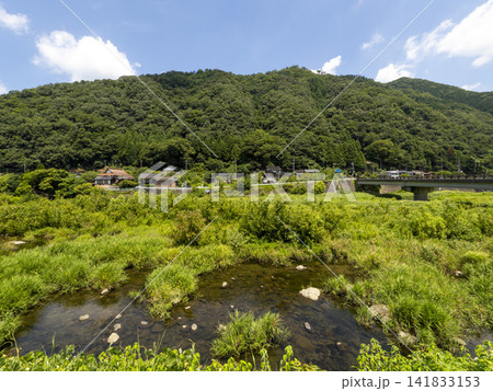 鮮やかな新緑が広がる八頭町の八東川 141833153