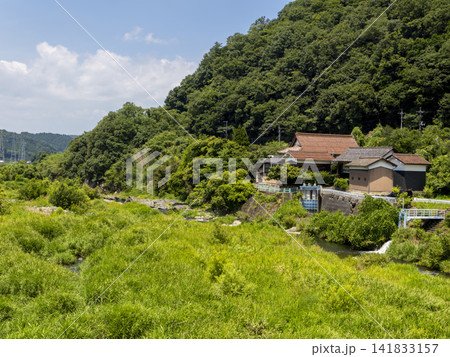 鮮やかな新緑が広がる八頭町の八東川 鮮やかな新緑が広がる八頭町の八東川 141833157