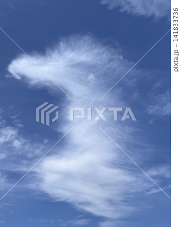 青空に大きく広がる羽のような白い雲 青空に大きく広がる羽のような白い雲 141833736