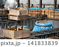 住宅基礎の型枠組とアンカーボルトの接合部 141833839