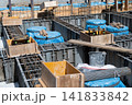 住宅の基礎配筋工事と型枠枠組みの施工状況 141833842