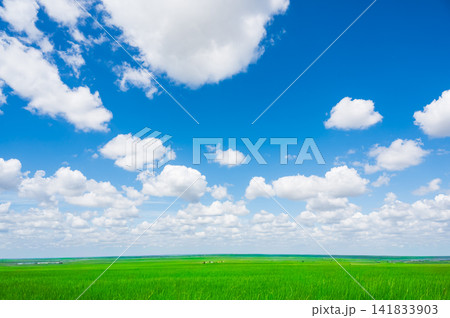 晴れた夏の空と白い雲 141833903