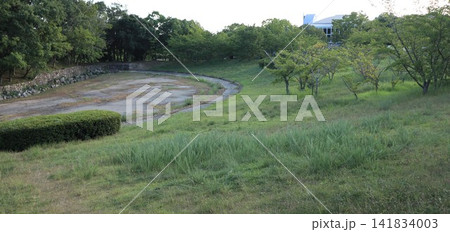 選択 雑草暑さで枯れた西神中央公園  141834003