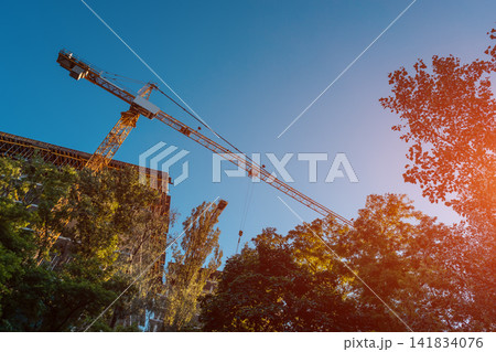 modern construction crane work on site and build skyscraper in forest outdoor modern construction crane work on site and build skyscraper in forest outdoor 141834076