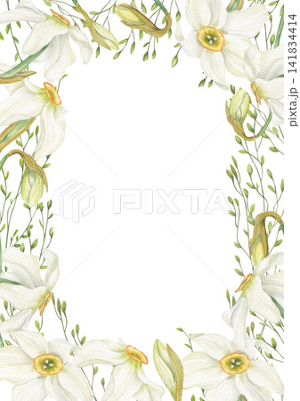 Narcissus flower vertical frame with white daffodils, meadow grasses. Hand drawn blooming flowers border with copy space for text. Botanical spring decor for book covers, stationery design Narcissus flower vertical frame with white daffodils, meadow grasses. Hand drawn blooming flowers border with copy space for text. Botanical spring decor for book covers, stationery design 141834414