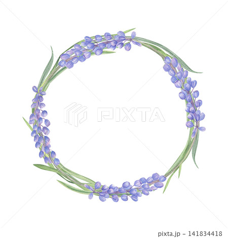 Muscari flower wreath hand drawn watercolor illustration. Round floral frame with blue grape hyacinth for wedding invitation or greeting card design. Spring botanical decorative element. 141834418