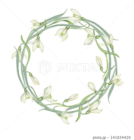 Snowdrop flower wreath on isolated background. Watercolor spring floral garland botanical illustration with copy space for text. Nature design for wedding invitation, greeting card or Easter. 141834420
