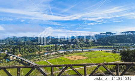 信濃川と田園風景 141834533