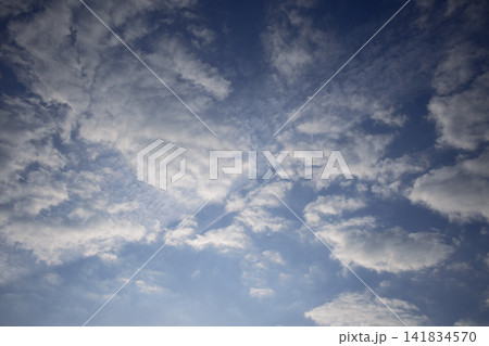 秋の朝焼けのの上空、透き通る淡い雲と金色の光 秋の朝焼けのの上空、透き通る淡い雲と金色の光 141834570