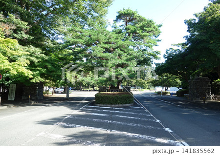 多磨霊園正門(表門)(東京都府中市) 多磨霊園正門(表門)(東京都府中市) 141835562