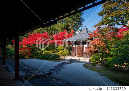 Kennin-ji stone garden and shrine by autumn leaves, Kyoto Kennin-ji stone garden and shrine by autumn leaves, Kyoto 141835730