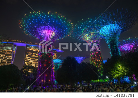 Tourists view colorful Supertree Grove Rhapsody light up, SIngapore Tourists view colorful Supertree Grove Rhapsody light up, SIngapore 141835781