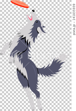 An illustration of a Border Collie dog pouncing on a frisbee. An illustration of a Border Collie dog pouncing on a frisbee. 141835939