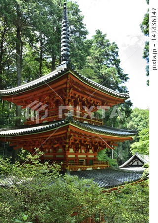 夏の岩船寺 三重塔と本堂(京都府木津川市) 夏の岩船寺 三重塔と本堂(京都府木津川市) 141836147