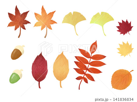 秋の紅葉の葉っぱセット 141836834