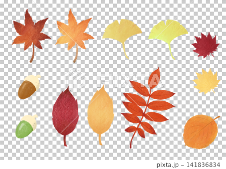 秋の紅葉の葉っぱセット 141836834