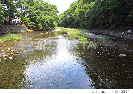 巾着田曼珠沙華公園内に流れる高麗川(埼玉県日高市) 巾着田曼珠沙華公園内に流れる高麗川(埼玉県日高市) 141836894