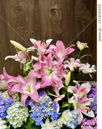 大輪の百合と紫陽花の花手水〈菅生神社/愛知県岡崎市〉 141836959