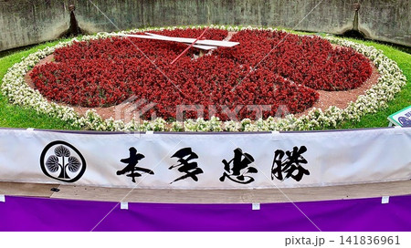 本多忠勝の家紋(丸に立ち葵)をイメージした花時計〈岡崎城公園/愛知県岡崎市〉 141836961