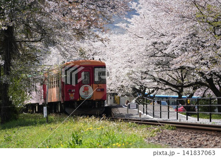 谷汲口駅にて 141837063