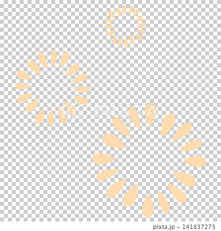 薄いオレンジ色のたくさんの花びらの花 薄いオレンジ色のたくさんの花びらの花 141837273