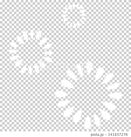 白色のたくさんの花びらの花 141837276