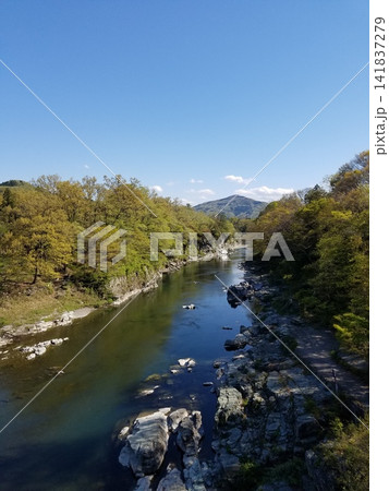 新緑に囲まれた渓谷を流れる美しい川 新緑に囲まれた渓谷を流れる美しい川 141837279