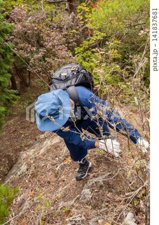 秋の白髪岳・トンガリ山を縦走するシニアの登山者・ハイカーの後ろ姿※作品コメント欄に撮影位置 秋の白髪岳・トンガリ山を縦走するシニアの登山者・ハイカーの後ろ姿※作品コメント欄に撮影位置 141837681