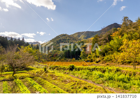 秋の丹波篠山・白髪岳から望む美しい棚田と里山の風景※作品コメント欄に撮影位置 秋の丹波篠山・白髪岳から望む美しい棚田と里山の風景※作品コメント欄に撮影位置 141837710