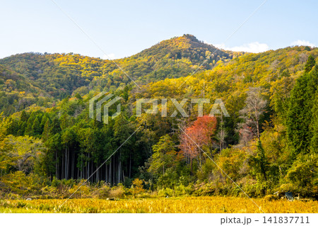 秋の丹波篠山・白髪岳から望む美しい棚田と里山の風景※作品コメント欄に撮影位置 秋の丹波篠山・白髪岳から望む美しい棚田と里山の風景※作品コメント欄に撮影位置 141837711