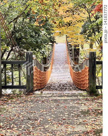 紅葉の中の吊り橋 紅葉の中の吊り橋 141837772