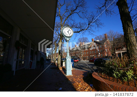 Harvard University campus and historic neighborhood in Cambridge, Boston Harvard University campus and historic neighborhood in Cambridge, Boston 141837872