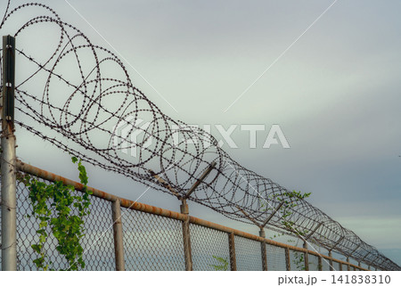 Prison security fence. Barbed wire security fence. Razor wire jail fence. Barrier border. Boundary security wall. Prison for arrest criminals or terrorists. Private area. Military zone concept. Prison security fence. Barbed wire security fence. Razor wire jail fence. Barrier border. Boundary security wall. Prison for arrest criminals or terrorists. Private area. Military zone concept. 141838310