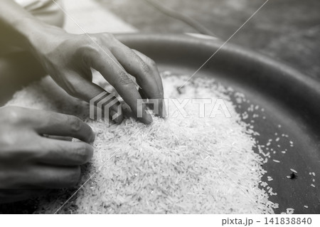 Global food crisis concept. Woman hand holding rice in plastic tray. Uncooked milled white rice. Poor and poverty concept. Human catastrophe in global food crisis effects of climate change and war. Global food crisis concept. Woman hand holding rice in plastic tray. Uncooked milled white rice. Poor and poverty concept. Human catastrophe in global food crisis effects of climate change and war. 141838840