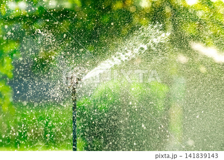 Automatic irrigation sprinkler spraying sparkling water droplets across a lush green agricultural field in sunlight. Sustainable farming, efficient water conservation and modern irrigation technology. Automatic irrigation sprinkler spraying sparkling water droplets across a lush green agricultural field in sunlight. Sustainable farming, efficient water conservation and modern irrigation technology. 141839143