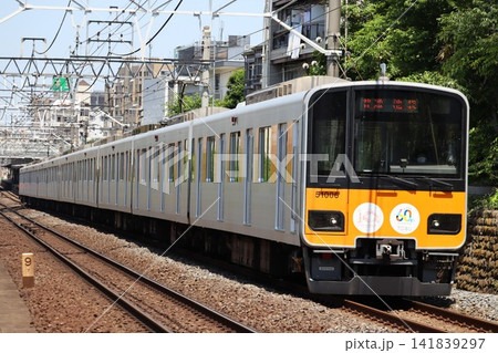 東武東上線 東武50000系 東武東上線 東武50000系 141839297