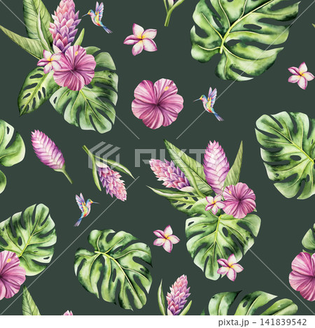 Tropical seamless pattern, Hummingbird, blooming frangipani, curcuma, flowers on on a branch. Watercolor hand drawn monstera leaf plumeria, Ginger plant. Isolated botanical illustration on transparent Tropical seamless pattern, Hummingbird, blooming frangipani, curcuma, flowers on on a branch. Watercolor hand drawn monstera leaf plumeria, Ginger plant. Isolated botanical illustration on transparent 141839542