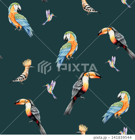 Seamless pattern with tropical birds. Watercolor hand drawn hummingbird, parrot macaw, toco toucan, hoopoe. Isolated illustration on transparent background. Perfect for tropical design projects. For Seamless pattern with tropical birds. Watercolor hand drawn hummingbird, parrot macaw, toco toucan, hoopoe. Isolated illustration on transparent background. Perfect for tropical design projects. For 141839544