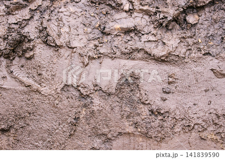 Detailed macro texture of wet brown mud and clay, organic earth surface background Detailed macro texture of wet brown mud and clay, organic earth surface background 141839590