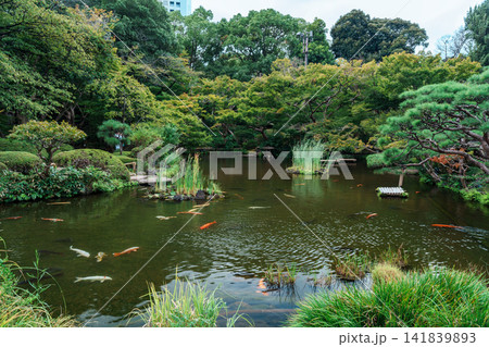 池泉回遊式庭園 ホテルニューオータニ 池泉回遊式庭園 ホテルニューオータニ 141839893