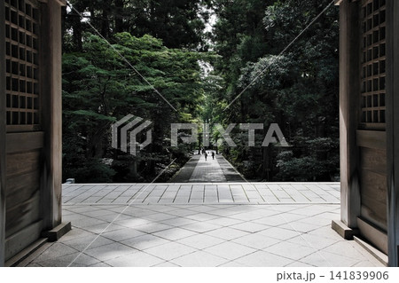 随神門から見下ろす緑豊かな参道と続く鳥居|厳かな弥彦神社の境内風景 随神門から見下ろす緑豊かな参道と続く鳥居|厳かな弥彦神社の境内風景 141839906