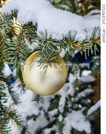A natural Christmas tree stands with snow covering its branches. A golden ornament hangs from the green needles, marking the holiday season A natural Christmas tree stands with snow covering its branches. A golden ornament hangs from the green needles, marking the holiday season 141840322