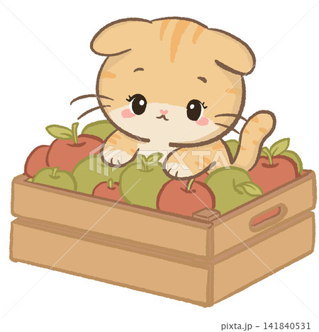 Cute Kawaii Orange Tabby Cat Sitting in a Wooden Crate Filled with Red and Green Apples Autumn Harvest Illustration Cute Kawaii Orange Tabby Cat Sitting in a Wooden Crate Filled with Red and Green Apples Autumn Harvest Illustration 141840531