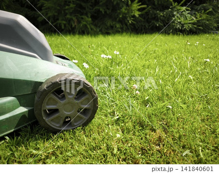Green lawn mower against a background of thick grass and daisies Green lawn mower against a background of thick grass and daisies 141840601