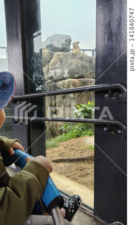 動物園でライオンを見る子供 動物園でライオンを見る子供 141840747