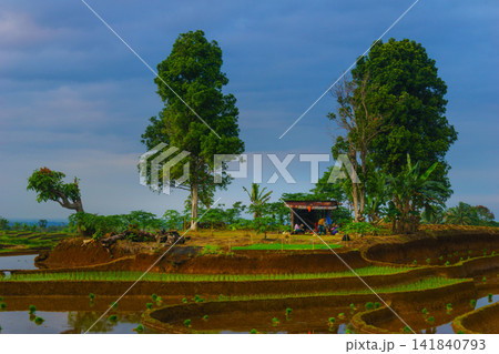 Aerial view of farmers wearing conical hats working in the lush green Tegalalang rice terraces in Tegalalang, Bali, Indonesia. 141840793
