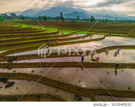 Aerial view of farmers wearing conical hats working in the lush green Tegalalang rice terraces in Tegalalang, Bali, Indonesia. Aerial view of farmers wearing conical hats working in the lush green Tegalalang rice terraces in Tegalalang, Bali, Indonesia. 141840832