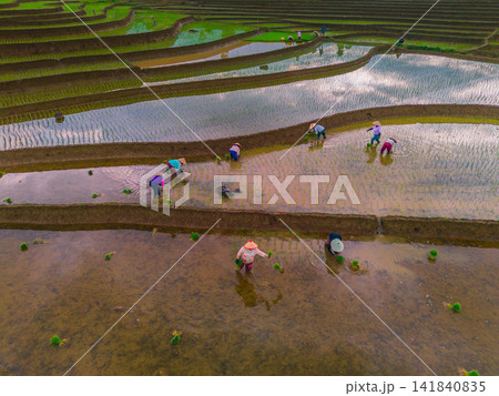 Aerial view of farmers wearing conical hats working in the lush green Tegalalang rice terraces in Tegalalang, Bali, Indonesia. Aerial view of farmers wearing conical hats working in the lush green Tegalalang rice terraces in Tegalalang, Bali, Indonesia. 141840835